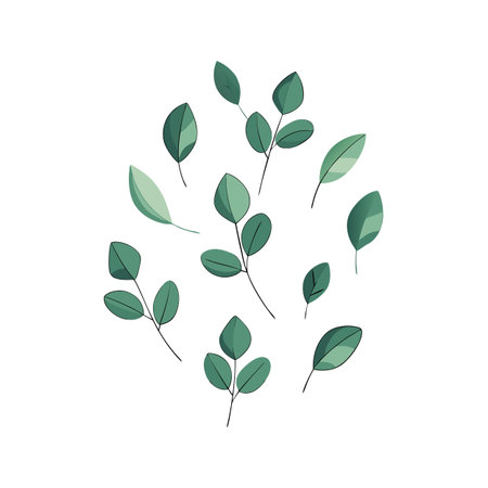Eucalyptus leaf arrangement on white background with simplistic graphic style for decorative purposesのイラスト素材