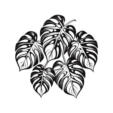 Monstera Leaf Vector Illustration in Black and White with Intricate Details and Stylized Designのイラスト素材