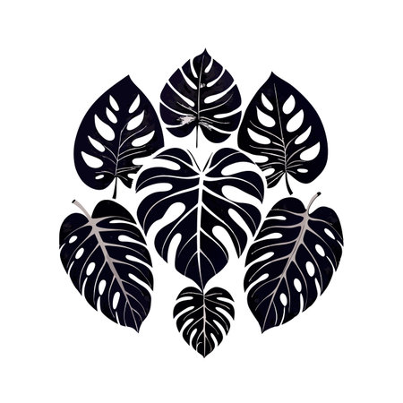 Black and White Monstera Leaf Pattern on White Background, Tropical Designのイラスト素材