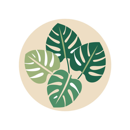 Modern Illustration of Monstera Plant Leaves within a Circle on White Backgroundのイラスト素材