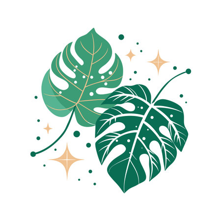 Tropical Monstera Leaf Duo with Star Accents on White Background, Vector Illustrationのイラスト素材