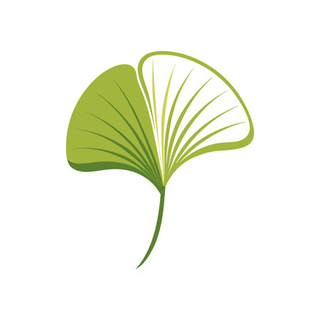 Elegant Ginkgo Biloba Leaf Illustration on White Background for Nature and Wellness Themesのイラスト素材