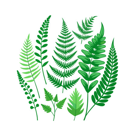 Assortment of vibrant green fern leaves, isolated on white for creative design elementsのイラスト素材