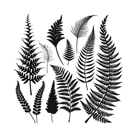 Elegant fern fronds silhouettes arranged in a stylish botanical pattern on a white backgroundのイラスト素材