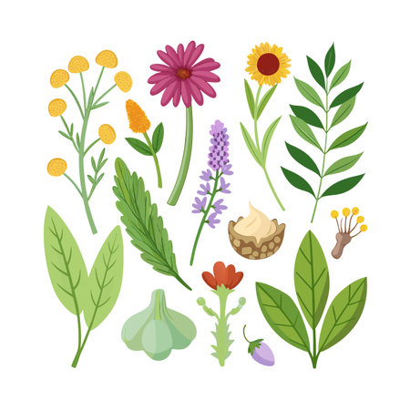 Collection of cartoon style botanical illustrations featuring diverse plants and flowers on a white backgroundのイラスト素材