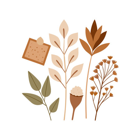 Elegant Flat Illustration of Autumn Botanical Elements in Earth Tones on White Backgroundのイラスト素材