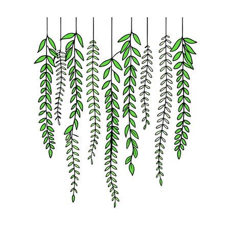 Hanging vines illustration in green hues against a white background ideal for print designのイラスト素材