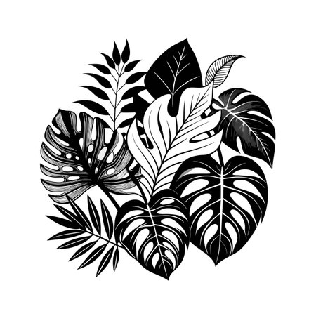 Black and white graphic illustration of monstera and tropical leaves on a white backgroundのイラスト素材