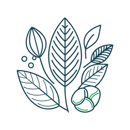 Minimalistic line art illustration of cocoa plant leaves, beans, and podsのイラスト素材