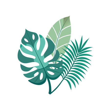 Tropical Foliage Arrangement Featuring Monstera, Palm, and Broadleaf Plants on White Backgroundのイラスト素材