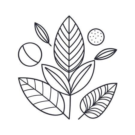 Minimalist Line Art of Botanical Elements with Leaves and Spheres on White Backgroundのイラスト素材