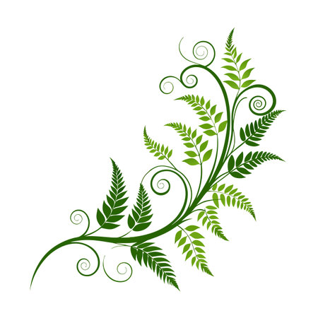 Elegant Green Fern Fronds and Swirls on a White Background, Ideal for Botanical Designsのイラスト素材