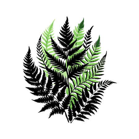 Botanical illustration featuring overlapping fern leaves in black and green on a white backgroundのイラスト素材