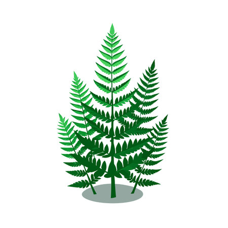 Flat illustration of fern plants isolated on white background depicting freshness and natureのイラスト素材