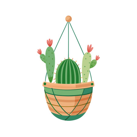 Hanging Cactus Plant Illustration in Decorative Pot with Flowers and Round, Striped Green Cactusのイラスト素材