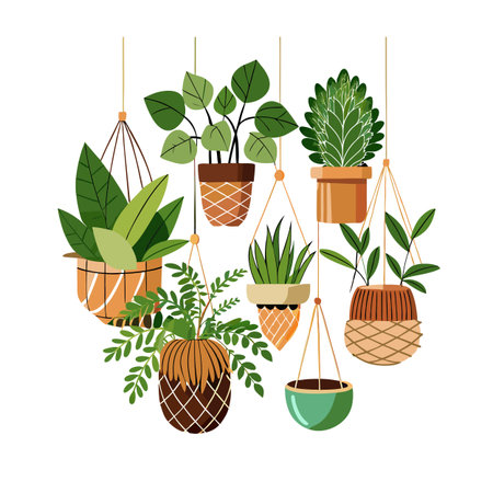 Collection of hanging potted houseplants in a flat vector style, perfect for home decorのイラスト素材