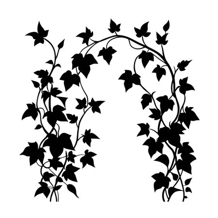 Ivy Archway Silhouette: Elegant Botanical Design for Invitations and Decorative Elementsのイラスト素材
