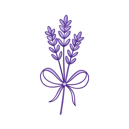 Stylized lavender bouquet tied with ribbon illustration in violet color against a white backgroundのイラスト素材