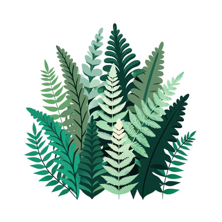 Vector Illustration of Ferns and Tropical Leaves in Shades of Green Isolated on White Backgroundのイラスト素材