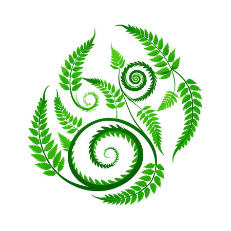 Botanical Vector: Green Fern Fronds Spiraling in a Repeating Circular Pattern on Whiteのイラスト素材