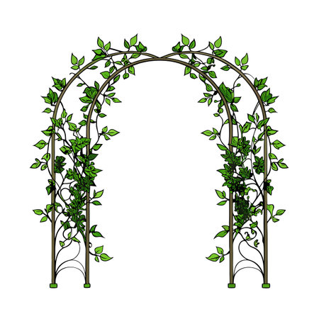 Decorative garden archway with climbing vines and leaves for wedding or backyard designのイラスト素材