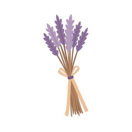 Stylized lavender bouquet tied with ribbon on white background for product or design useのイラスト素材
