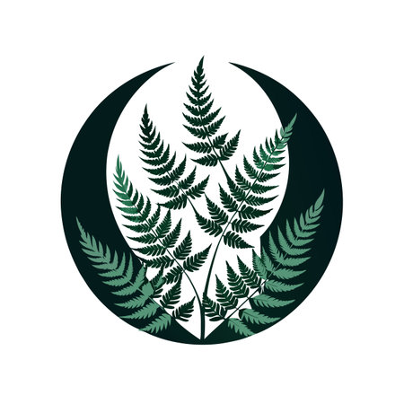Fern fronds encircled by dark crescent shape on white background, organic and minimalist design.のイラスト素材