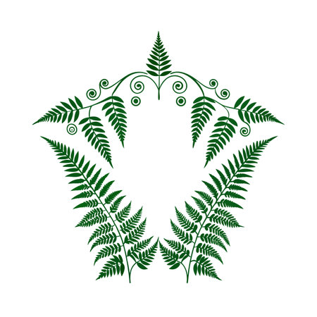 Stylized Green Fern Fronds Forming a Star Shaped Decorative Border on Whiteのイラスト素材