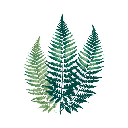 Watercolor Fern Fronds Illustration: Three Green Ferns on White Background, Botanical Isolatedのイラスト素材