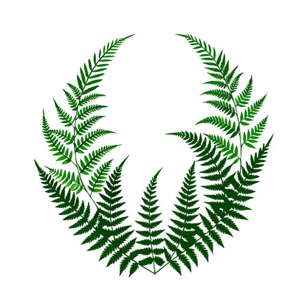 Green Fern Circle Frame Graphic Element on White Background for Nature Designのイラスト素材