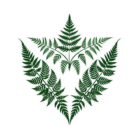 Symmetrical Arrangement of Fern Fronds in Deep Green Against a White Backgroundのイラスト素材