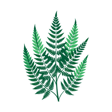 Stylized Green Fern Illustration on White Background for Botanical Designs and Nature-Themed Projectsのイラスト素材