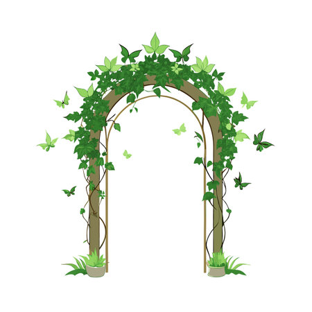 Green ivy-covered garden arch with butterflies on a white background, vector designのイラスト素材