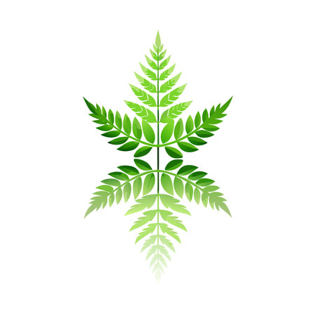 Green Leaf Design with Reflection on White Background for Botanical or Nature-Related Themesのイラスト素材