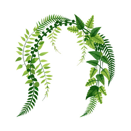 Elegant Green Foliage Arch Isolated on White Background for Decoration and Designのイラスト素材
