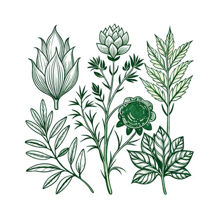 Botanical illustration with a variety of plant species in green and white colorsのイラスト素材
