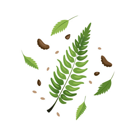 Fern frond surrounded by leaves, nuts and seeds in a flat vector composition on white backgroundのイラスト素材