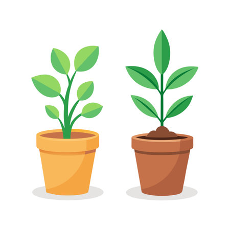 Two potted plants with green leaves against a white background in flat styleのイラスト素材