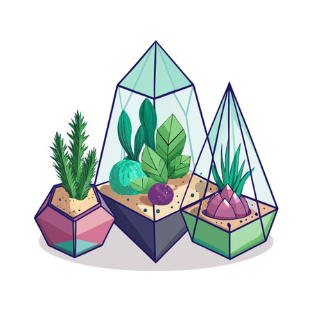 Geometric terrariums with plants and sand on a white background, minimalist and clean styleのイラスト素材