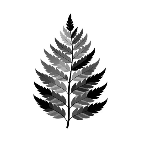 Stylized fern frond with grayscale variations, a graphic botanical illustration on whiteのイラスト素材
