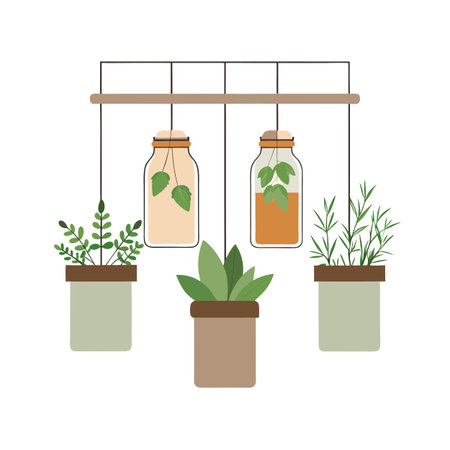 Hanging indoor plants and herbs in jars and pots, flat vector design.のイラスト素材