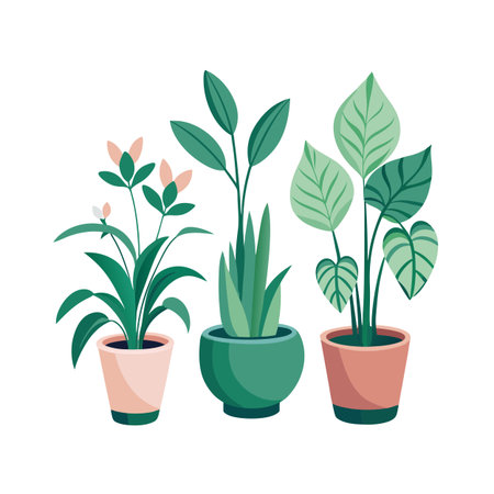 Three potted houseplants with distinctive leaf shapes in flat design for interior decorのイラスト素材