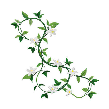 Stylized floral vine with white flowers and green leaves for decorative design purposesのイラスト素材