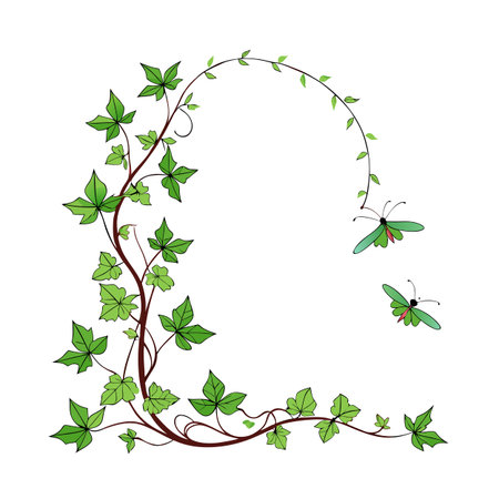 Elegant nature frame featuring ivy vines and fluttering butterflies against a white backdrop.のイラスト素材