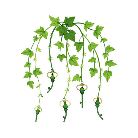 Whimsical ivy tendrils with suspended ornate keys against a white background in whimsical illustrationのイラスト素材