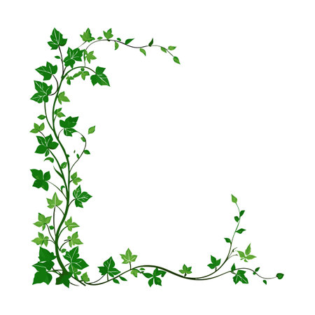 Green Ivy Border Frame with Leaves and Vines on White Background Design Elementのイラスト素材