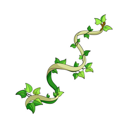 Stylized vine with vibrant green leaves spiraling across a clean white background for botanical designsのイラスト素材