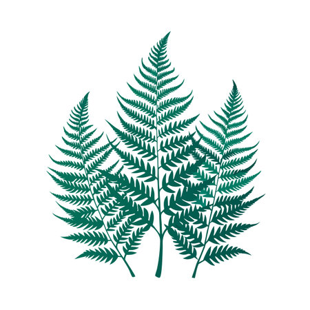 Illustration of three vibrant green fern leaves isolated against a clean white backgroundのイラスト素材