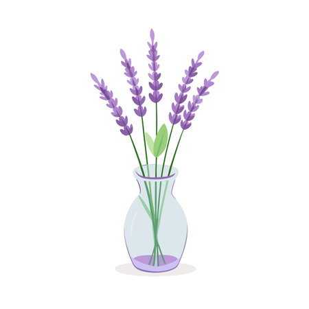 Lavender stems in glass vase, floral decoration, flat lay on a clean white backgroundのイラスト素材