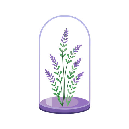 Lavender sprigs under a glass cloche display a serene and minimalist botanical presentationのイラスト素材